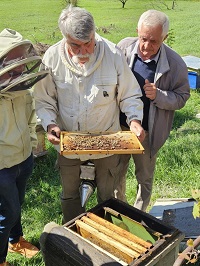 fond armenien1